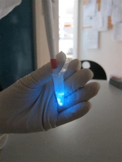 LuLISA project, bioluminescence as a tool for human diagnostics, 